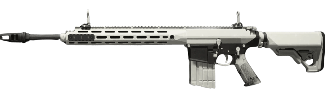 Dominate Warzone with the Tempus Torrent: Best Weapon Pairings